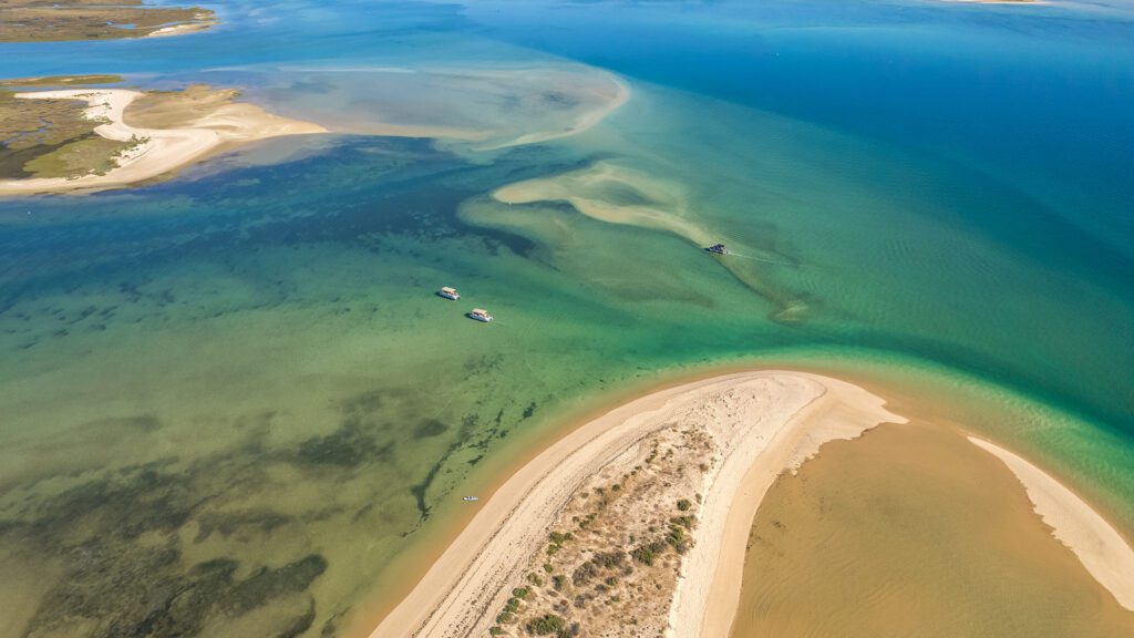Ria Formosa boat trip